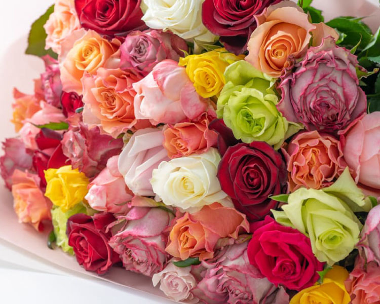 レッド・ピンク・ホワイト・ビタミン・ミックスのバラを花束にラッピングしてお届け