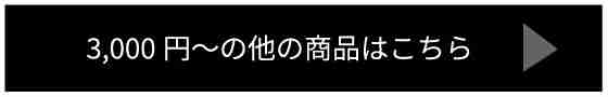 3000円～の他の商品はこちら