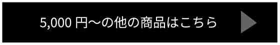 5000円～の他の商品はこちら