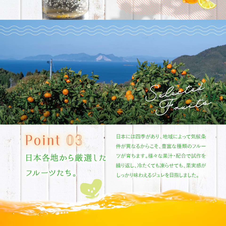 日本各地から厳選したフルーツたち。