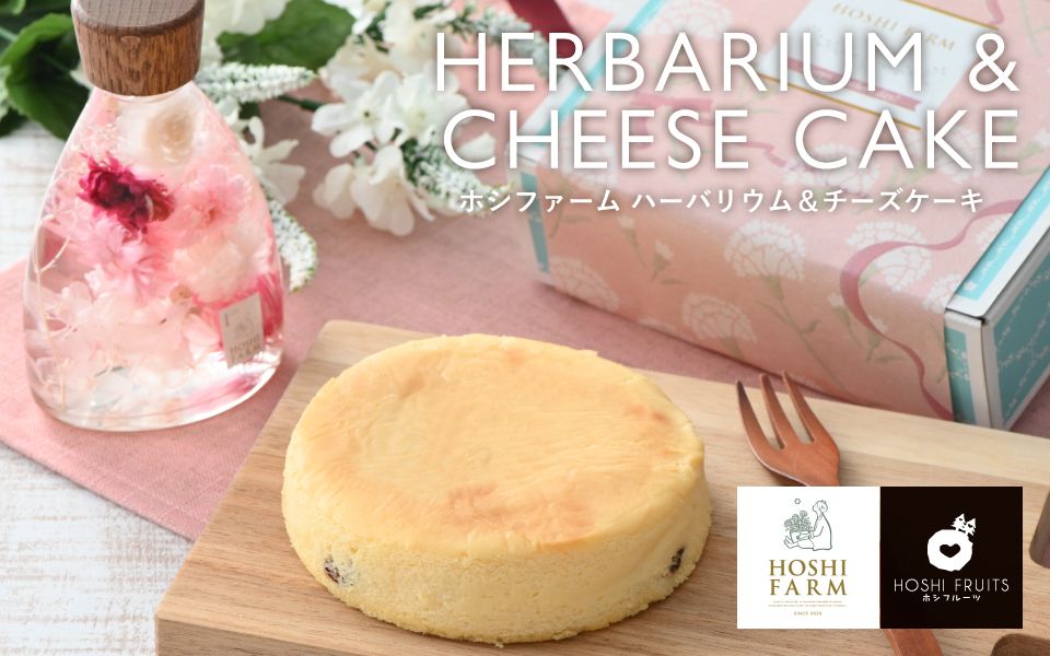 ホシフルーツ 母の日限定 ホシファームのハーバリウム＆大人のチーズケーキ