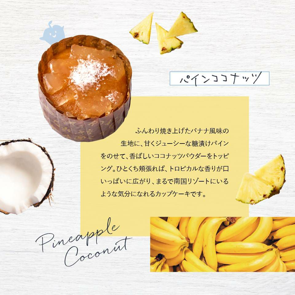 ホシフルーツ パインココナッツのカップケーキ_煌めき果実のカップケーキ 6個