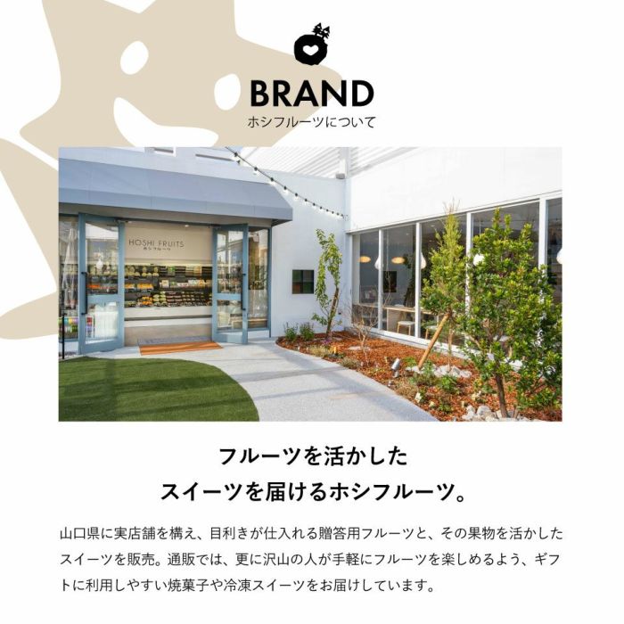 ナッツとドライフルーツの 贅沢ブラウニー 9個《HFNB-9》｜公式ホシ