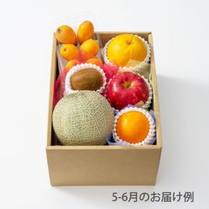 【送料込】本日の厳選フルーツ詰合せ《HFY-03A》
