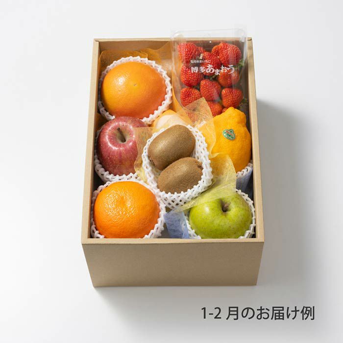 5000円ホシフルーツ 本日の厳選フルーツ詰め合わせ