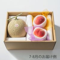 ホシフルーツ 本日の厳選フルーツ詰合せ