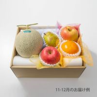 5000円ホシフルーツ 本日の厳選フルーツ詰め合わせ