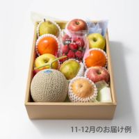 10000円ホシフルーツ 本日の厳選フルーツ詰め合わせ