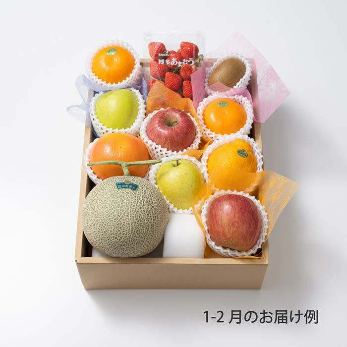 10000円ホシフルーツ 本日の厳選フルーツ詰め合わせ