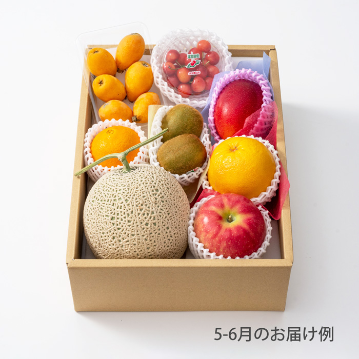 10000円ホシフルーツ 本日の厳選フルーツ詰め合わせ