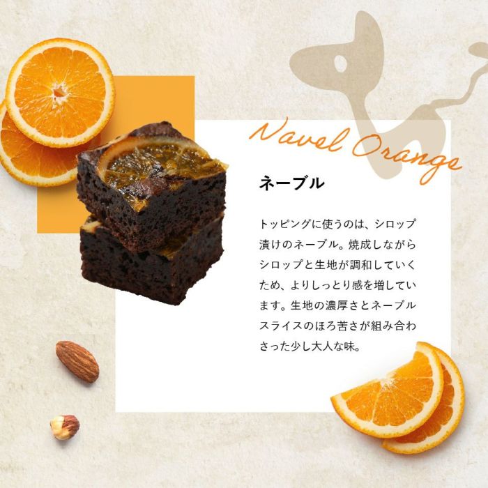 ホシフルーツ ナッツとドライフルーツの贅沢ブラウニーテトラBOX ネーブル