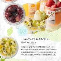 とけゆくごとに変化する食感が楽しい、果実引き立つゼリー_ホシフルーツ_期間限定｜フローズンフルーツジュレ 6個