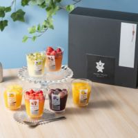 ホシフルーツフローズンフルーツジュレ6個入り