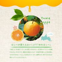 ほっぺが落ちるおいしさ？！「ゆめほっぺ」