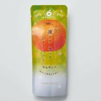 ゆめほっぺ_ホシフルーツ フルーツパーラーの凍らせて食べるシャーベット 彩果しずく ＜ばら売り＞