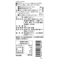 島そだち_食品表示ラベル・一括表示_期間限定｜ホシフルーツ フルーツパーラーの凍らせて食べるシャーベット 彩果しずく ＜ばら売り＞