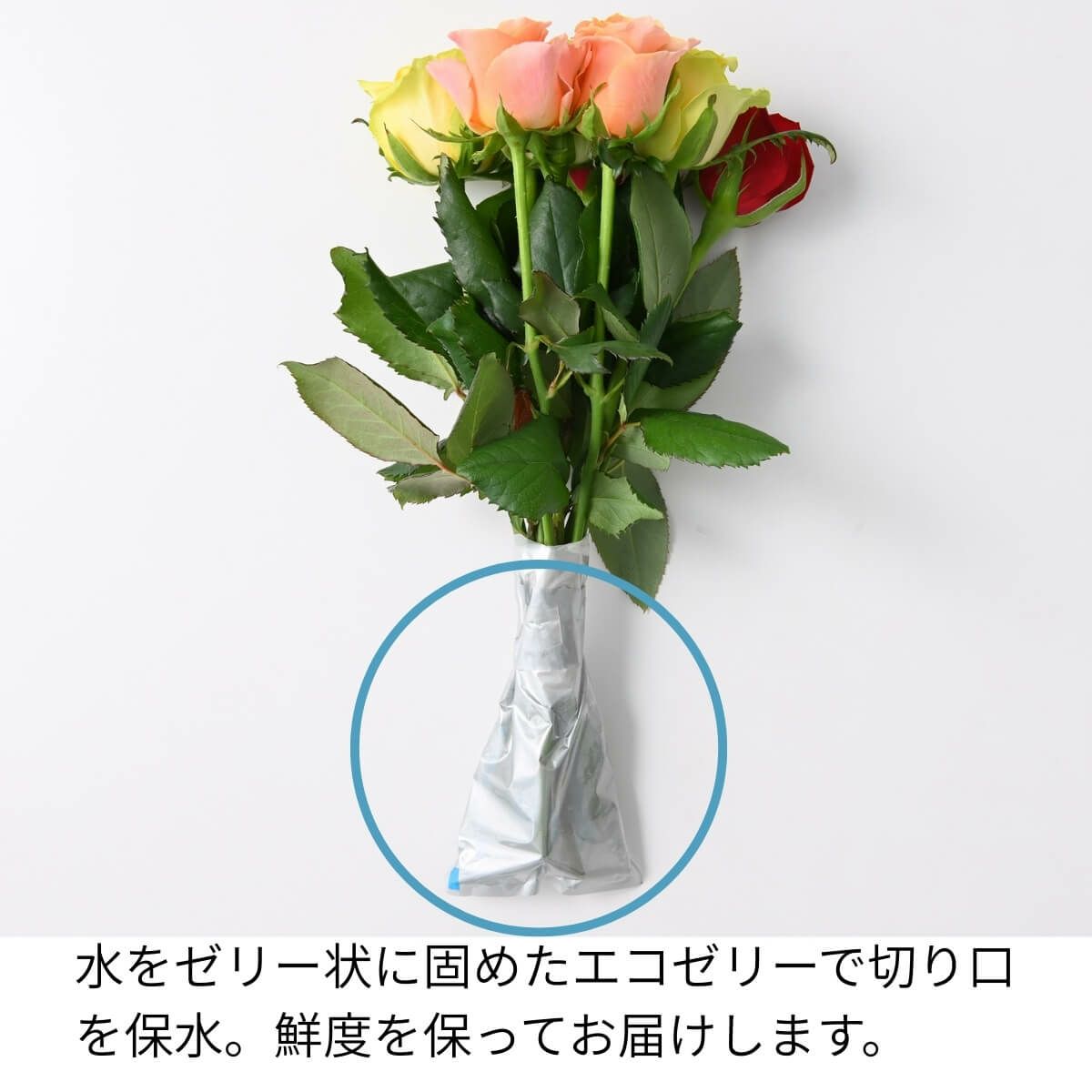 ホシファーム　フリルブーケ８本＆ホシフルーツ　贅沢ブラウニー　６個