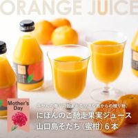 ホシフルーツ 母の日専用にほんのご馳走果実ジュース（みかん）