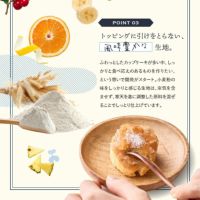 ホシフルーツ トッピングに引けをとらない、風味豊かな生地_ホシフルーツ_煌めき果実のカップケーキ 　3個