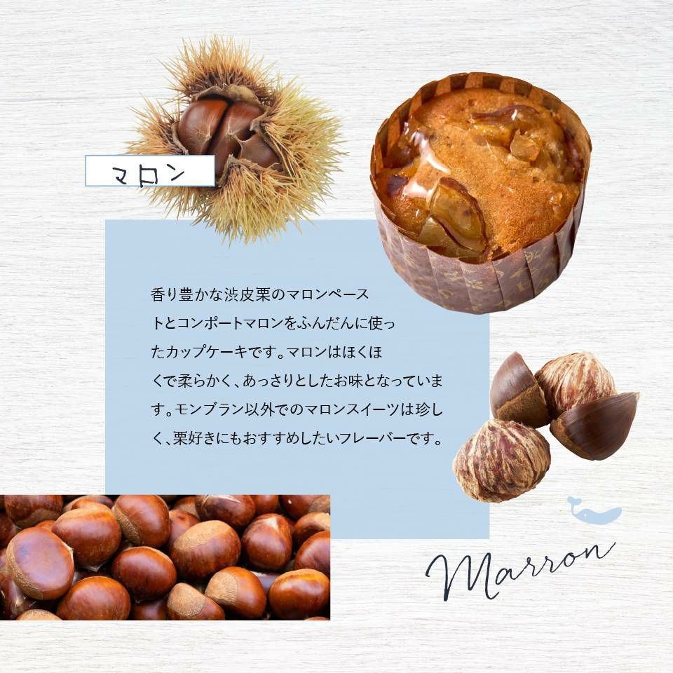 ホシフルーツ マロンのカップケーキ_煌めき果実のカップケーキ ＜バラ売り＞