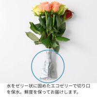 ホシファーム フリルブーケ＆ホシフルーツ 贅沢ブラウニー9個