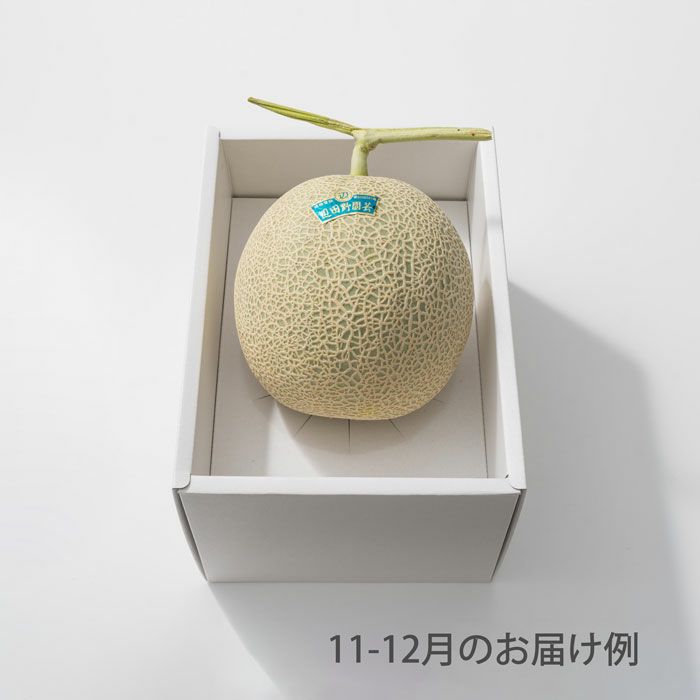 ホシフルーツ 本日の厳選フルーツ詰め合わせ