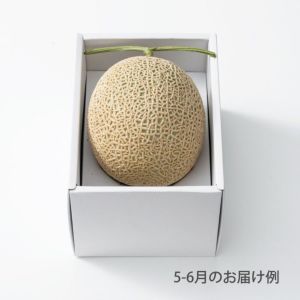 【送料込】本日の厳選フルーツ詰合せ《HFY-01A》