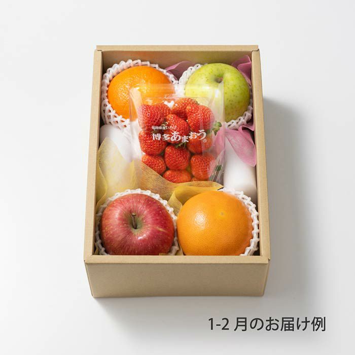 4000円ホシフルーツ 本日の厳選フルーツ詰め合わせ