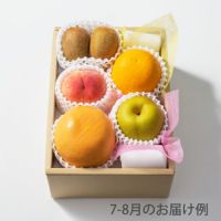 ホシフルーツ 本日の厳選フルーツ詰合せ