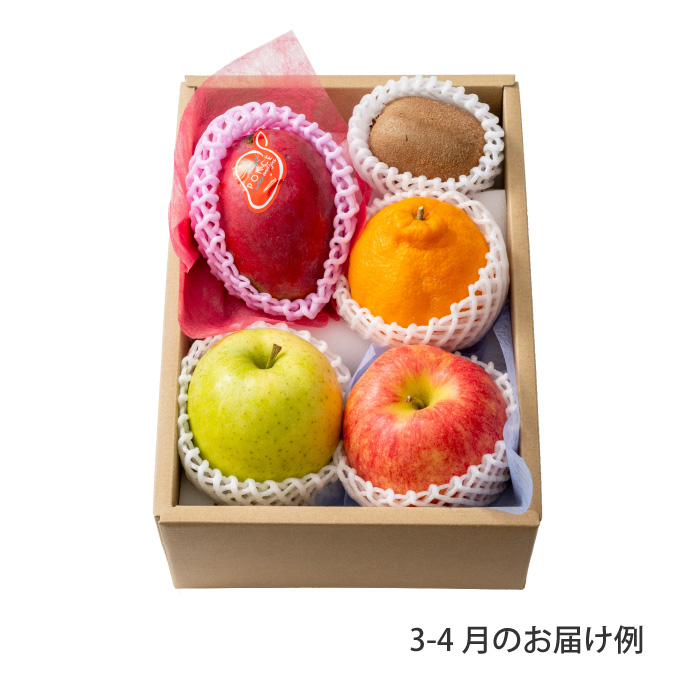 ホシフルーツ 本日の厳選フルーツ詰め合わせ