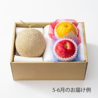 ホシフルーツ 本日の厳選フルーツ詰合せ