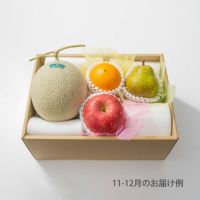 4000円ホシフルーツ 本日の厳選フルーツ詰め合わせ