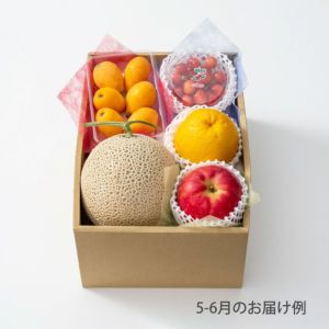 【送料込】本日の厳選フルーツ詰合せ《HFY-04A》