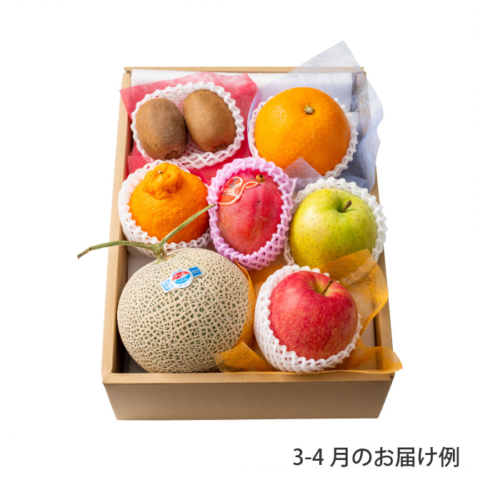 8000円ホシフルーツ 本日の厳選フルーツ詰め合わせ