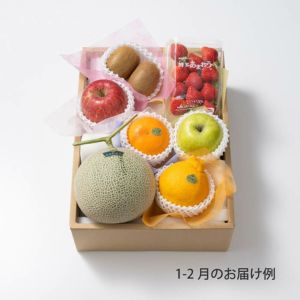 8000円ホシフルーツ 本日の厳選フルーツ詰め合わせ