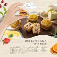 試作を重ねてたどり着いた、一口へのこだわり_ホシフルーツ_発酵バターと果実のバターサンド12個