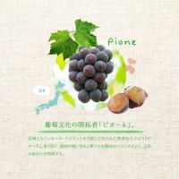 福島県産あかつきを使用したゼリー