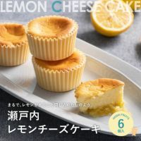 ホシフルーツ_瀬戸内レモンチーズケーキ６個入
