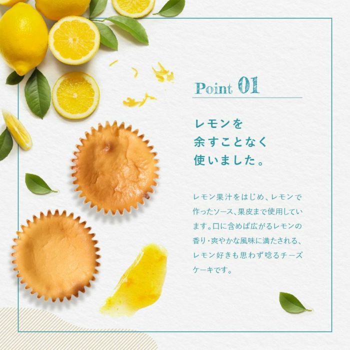 ホシフルーツ_瀬戸内レモンチーズケーキ６個入