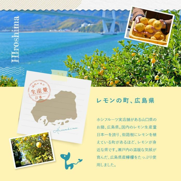 ホシフルーツ_瀬戸内レモンチーズケーキ６個入