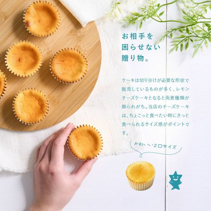 ホシフルーツ_瀬戸内レモンチーズケーキ６個入