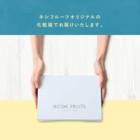 ホシフルーツ_瀬戸内レモンチーズケーキ６個入