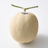 ホシフルーツ_メロンと薔薇のギフトセット_花と実の極み きらら星　静岡県産アールスメロン＆そのまま飾れる薔薇アレンジメントカラフル