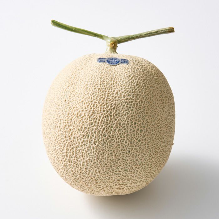 ホシフルーツ_メロンと薔薇のギフトセット_花と実の極み きらら星　静岡県産アールスメロン＆そのまま飾れる薔薇アレンジメントスイート