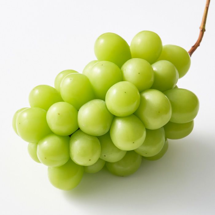 ホシフルーツ_シャインマスカットと薔薇のギフトセット_花と実の極み きらら星　岡山県産シャインマスカット晴王＆そのまま飾れる薔薇アレンジメントロマン