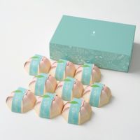 ホシフルーツ　山梨の白桃ぜりぃ　9個