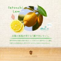 太陽と海風が育てる「瀬戸内レモン」
