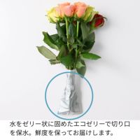 ホシファーム　フリルブーケ　＆ホシフルーツ　煌めき果実のカップケーキ３個