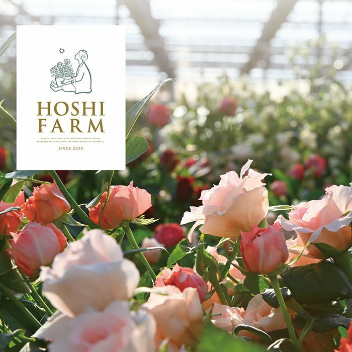 ホシファームのバラ_ホシファーム フリルブーケ８本＆ホシフルーツ煌めき果実のカップケーキ