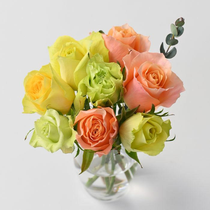 パッションカラーのバラ８本の花束